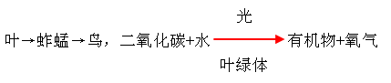 认真阅读三个材料后分析:(8分)材料一:“新叶伸向和煦的阳光,蚱蜢觊觎绿叶的芬芳。它们为生存而获取能量,能量在细胞里流转激荡!”这是人民教育出版社《生物》教材主 认真阅读三个材料后分析:(8分)材料一:“新叶伸向和煦的阳光,蚱蜢觊觎绿叶的芬芳。它们为生存而获取能量,能量在细胞里流转激荡!”这是人民教育出版社《生物》教材主