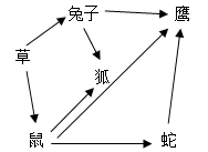 下图是一个温带草原生态系统的食物网,请据图回答:1)若此简图要表示一个完整的生态系统,则图中缺少部分和者。2)此食物网中数量最多的生物是。3 下图是一个温带草原生态系统的食物网,请据图回答:1)若此简图要表示一个完整的生态系统,则图中缺少部分和者。2)此食物网中数量最多的生物是。3