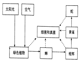 根据下图回答下列问题:图中太阳光、空气属于生态系统的部分。图中属于初级消费者的是,属于最高消费者的是_________________。“螳螂 根据下图回答下列问题:图中太阳光、空气属于生态系统的部分。图中属于初级消费者的是,属于最高消费者的是_________________。“螳螂