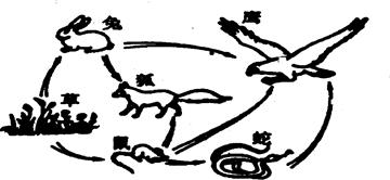 (8分)下图表示一个生态系统的食物网简图,请据图回答:根据图示信息判断该生态系统的类型是_____________________某同学对图示生物分 (8分)下图表示一个生态系统的食物网简图,请据图回答:根据图示信息判断该生态系统的类型是_____________________某同学对图示生物分