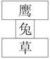 用一个图形来表示生态系统中兔、鹰、草三者之间的数量关系,你认为正确的是A.B.C.D. 用一个图形来表示生态系统中兔、鹰、草三者之间的数量关系,你认为正确的是A.B.C.D.