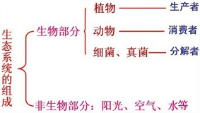 下图是某草原生态系统中部分生物之间关系的示意图;请据图回答:(1)生态系统的成分包括,。图中的草属于_______________,图中缺少的生物成分是,其作用 下图是某草原生态系统中部分生物之间关系的示意图;请据图回答:(1)生态系统的成分包括,。图中的草属于_______________,图中缺少的生物成分是,其作用