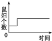 在探究“光对鼠妇生活的影响”的实验中,把同样多的鼠妇同时放在较暗和较亮的环境中.下列哪种曲线能表示较暗环境中鼠妇的数量变化?A.B.C.D. 魔方格