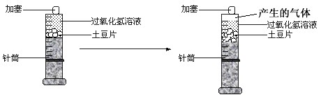 将一个土豆(含有过氧化氢酶)切成大小和厚薄相同的若干片,放入盛有一定体积和浓度的过氧化氢溶液的针筒中(如下图所示),以探究酶促反应的相关问题。根据实 将一个土豆(含有过氧化氢酶)切成大小和厚薄相同的若干片,放入盛有一定体积和浓度的过氧化氢溶液的针筒中(如下图所示),以探究酶促反应的相关问题。根据实