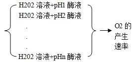 如图所示，在下列试管中均加入3mL浆糊。A、C两试管中各注入2mL清水，B、D两试管中各注入等量的固定化淀粉酶，把四支试管均置于水槽中保温5min，