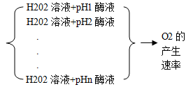 下图表示某反应物剩余量随pH及温度的变化情况，正确的是[ ]A．在一定范围内，随着pH的升高，酶的活性先降低后升高B．酶的最适pH是一定的