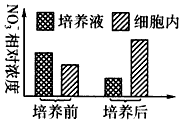 某同学以生长健壮的小麦幼苗为材料进行研究,调查小麦培养前后培养液及小麦根尖细胞内NO3-的浓度变化,得到下图所示结果。本实验结果可以确定根尖细胞吸收 某同学以生长健壮的小麦幼苗为材料进行研究,调查小麦培养前后培养液及小麦根尖细胞内NO3-的浓度变化,得到下图所示结果。本实验结果可以确定根尖细胞吸收