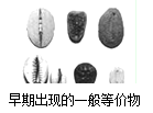 观察图“早期出现的一般等价物”。观点:这些贝壳和现在我国国库储备的黄金没有本质的区别。这种说法A.错误,黄金有而贝壳无价值B.正确,它们都是实物的东西C.正确, 观察图“早期出现的一般等价物”。观点:这些贝壳和现在我国国库储备的黄金没有本质的区别。这种说法A.错误,黄金有而贝壳无价值B.正确,它们都是实物的东西C.正确,