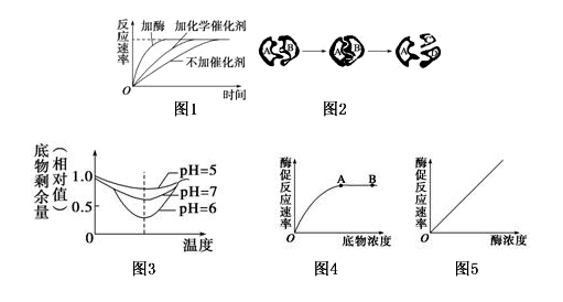 解读与酶有关的图示、曲线,回答有关问题:(1)图1和图2是与酶的特性相关的图示,分别表示了酶具有______的特性。(2)图3是与酶活性影响因素 解读与酶有关的图示、曲线,回答有关问题:(1)图1和图2是与酶的特性相关的图示,分别表示了酶具有______的特性。(2)图3是与酶活性影响因素