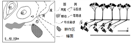 左下图显示长江中下游某地某时刻近地面气压系统,Q1、Q2是性质相反的两个气压中心,该气压系统以每天120千米的速度自西向东移动;右下图为P地树影图。读图完成问题 左下图显示长江中下游某地某时刻近地面气压系统,Q1、Q2是性质相反的两个气压中心,该气压系统以每天120千米的速度自西向东移动;右下图为P地树影图。读图完成问题
