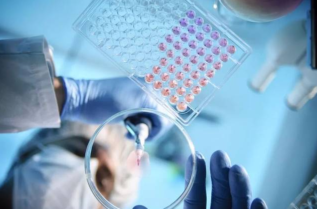 学医哪个专业最好前景比较好的医学专业排名?医学类最差专业哪些 学医哪个专业最好前景比较好的医学专业排名?医学类最差专业哪些