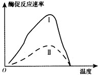某人通过实验研究化合物X对淀粉酶活性的影响,结果如下图。曲线I为只在一定量的底物中加入淀粉酶,曲线Ⅱ为在一定量的底物中加入淀粉酶和化合物X。下列分析 某人通过实验研究化合物X对淀粉酶活性的影响,结果如下图。曲线I为只在一定量的底物中加入淀粉酶,曲线Ⅱ为在一定量的底物中加入淀粉酶和化合物X。下列分析
