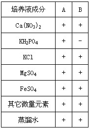 取正常生长、状态相同的甲、乙两组番茄幼苗,分别置于下表A、B两种培养液中,在相同的适宜条件下培养若干天。请回答下列问题:(1)培 取正常生长、状态相同的甲、乙两组番茄幼苗,分别置于下表A、B两种培养液中,在相同的适宜条件下培养若干天。请回答下列问题:(1)培