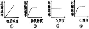 科学家在研究细胞膜运输物质时发现有下列四种关系,分别用下图中四条曲线表示,在研究具体的物质X时,发现与曲线②和④相符。则细胞膜运输物质X的方式是 科学家在研究细胞膜运输物质时发现有下列四种关系,分别用下图中四条曲线表示,在研究具体的物质X时,发现与曲线②和④相符。则细胞膜运输物质X的方式是