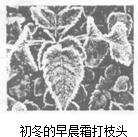 如图所示的各种自然现象中,属于熔化的是A.B.C.D.