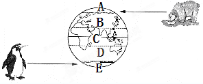 读图,完成下列要求:A______带、B______带、C______带、D______带、E______带.