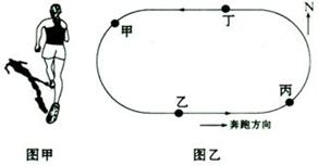 江苏省某市长跑比赛于北京时间某日11:30鸣枪开赛。下图中,图甲为某运动员比赛中经过图乙中某点时的即时素描图,当该运动员到达该点时,其身 江苏省某市长跑比赛于北京时间某日11:30鸣枪开赛。下图中,图甲为某运动员比赛中经过图乙中某点时的即时素描图,当该运动员到达该点时,其身