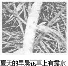 如图所示的各种自然现象中,属于熔化的是A.B.C.D.