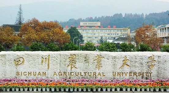 四川农业大学最新排名 2021四川农业大学排名第147名 四川农业大学最新排名 2021四川农业大学排名第147名