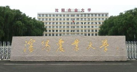 沈阳农业大学最新排名 2021沈阳农业大学排名第182名 沈阳农业大学最新排名 2021沈阳农业大学排名第182名