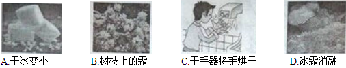 如图所示的物态变化中,需要放热的是 如图所示的物态变化中,需要放热的是