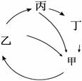 图为生产者、消费者和分解者之间的关系图。请据图回答。图中甲、乙、丙、丁分别代表_____、_____、_____和______。在乙、丙、丁 图为生产者、消费者和分解者之间的关系图。请据图回答。图中甲、乙、丙、丁分别代表_____、_____、_____和______。在乙、丙、丁