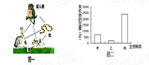 (9分) 图一表示某生态系统中的食物网;图二是某条食物链中三种生物体内所含有机物总量的直方图。请据图回答问题:(1)作为一个完整的生态系统, (9分) 图一表示某生态系统中的食物网;图二是某条食物链中三种生物体内所含有机物总量的直方图。请据图回答问题:(1)作为一个完整的生态系统,