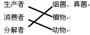 用直线将相关内容链接起来。生产者细菌、真菌消费者植物分解者动物 用直线将相关内容链接起来。生产者细菌、真菌消费者植物分解者动物