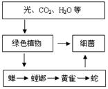 右图所示的各种成分在生态学上可以构成一个生态系统,据图回答:光、CO2、H2O等属于生态系统的成分,图中生产者是,分解者是。螳螂的发育过程要经过三个 右图所示的各种成分在生态学上可以构成一个生态系统,据图回答:光、CO2、H2O等属于生态系统的成分,图中生产者是,分解者是。螳螂的发育过程要经过三个