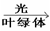 下图是某农田生态系统中部分生物之间的相互联系示意图,请据图回答以下问题:该生态系统中有条食物链。请写出太阳能输入该生态系统的生理过程的表达式 下图是某农田生态系统中部分生物之间的相互联系示意图,请据图回答以下问题:该生态系统中有条食物链。请写出太阳能输入该生态系统的生理过程的表达式