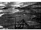 2010年4月20日,位于墨西哥湾的油井发生重犬原油泄漏事件,破坏了当地的生态环境,严重威胁了海洋生物的生存。浮游植物被原油污染后,其中的有害物质通过食 2010年4月20日,位于墨西哥湾的油井发生重犬原油泄漏事件,破坏了当地的生态环境,严重威胁了海洋生物的生存。浮游植物被原油污染后,其中的有害物质通过食