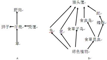 下图,A为非洲草原生态系统一个食物网示意图,B是温带草原生态系统一个食物网示意图,据图回答:图A中数量最多的动物是,图B中数量最少的生物是。 下图,A为非洲草原生态系统一个食物网示意图,B是温带草原生态系统一个食物网示意图,据图回答:图A中数量最多的动物是,图B中数量最少的生物是。