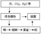 右图所示的各种成分在生态学上可以构成一个生态系统,据图回答:光、CO2、H2O等属于生态系统的部分,图中生产者是。螳螂的发育过程要经过三个 右图所示的各种成分在生态学上可以构成一个生态系统,据图回答:光、CO2、H2O等属于生态系统的部分,图中生产者是。螳螂的发育过程要经过三个