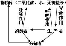 下图为生物圈中物质循环局部示意图,请回答: 在生态系统中,物质是循环的。能把二氧化碳和水这些无机物造成有机物的是_____ 下图为生物圈中物质循环局部示意图,请回答: 在生态系统中,物质是循环的。能把二氧化碳和水这些无机物造成有机物的是_____