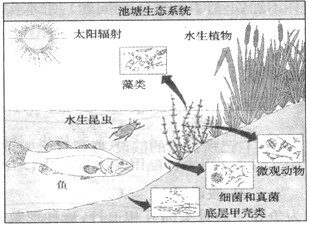 下图为池塘生态系统,其中影响鱼生活的非生物因素有_____、_____、______等,影响鱼生活的生物因素有______、______、_______等 下图为池塘生态系统,其中影响鱼生活的非生物因素有_____、_____、______等,影响鱼生活的生物因素有______、______、_______等