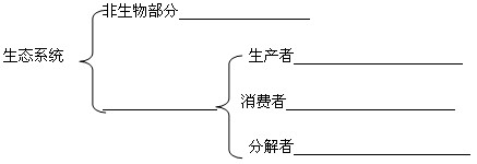 北美的凯巴森林主要由松树、冷杉和云杉构成,森林的底层还生长着多种草本植物。森林中大约有4000多只黑尾鹿吃树叶或草本植物。狼以黑尾鹿为食,凶狠的美洲狮常常 北美的凯巴森林主要由松树、冷杉和云杉构成,森林的底层还生长着多种草本植物。森林中大约有4000多只黑尾鹿吃树叶或草本植物。狼以黑尾鹿为食,凶狠的美洲狮常常