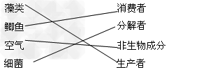 将下列各项与相应的成分搭配。 藻类消费者鲫鱼分解者空气非生物成分细菌生产者 将下列各项与相应的成分搭配。 藻类消费者鲫鱼分解者空气非生物成分细菌生产者
