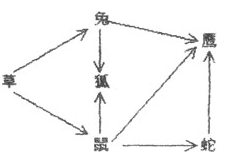 右图所示的是某草原生态系统,请根据图回答。 (1)在这个生态系统中,属于生产者的是__________,它生产的主要物质是___________。 (2)若 右图所示的是某草原生态系统,请根据图回答。 (1)在这个生态系统中,属于生产者的是__________,它生产的主要物质是___________。 (2)若