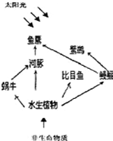 如图,为生态系统中部分组成成分示意图、请回答.除鹭鹚外,还有哪一种生物对鱼鹰的生存最为不利?______.______的生长状况对于生态系统内生态平
