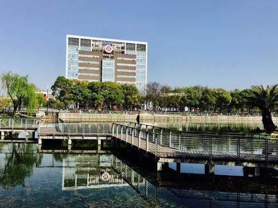2019上海中医药大学各省分数线公布 2019上海中医药大学各省分数线公布