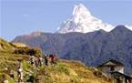 Active New ZealandAdventure tours in New Zealand and South Americawebsite: www.a Active New ZealandAdventure tours in New Zealand and South Americawebsite: www.a