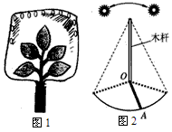 去年暑假小明参加学校的生存夏令营,学到了野外生存的很多知识和技能。其中:获取饮用水。如图1,用大塑料袋套在树叶浓密的嫩枝上,扎紧袋口。随着植物 去年暑假小明参加学校的生存夏令营,学到了野外生存的很多知识和技能。其中:获取饮用水。如图1,用大塑料袋套在树叶浓密的嫩枝上,扎紧袋口。随着植物