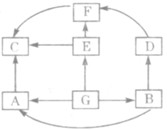 某温带草原生态系统中有A、B、C、D、E、F等6种动物,G表示绿色植物,它们之间的相互关系是:①C捕食F、E、A;②B、A、E取食G;③D、A捕食B 某温带草原生态系统中有A、B、C、D、E、F等6种动物,G表示绿色植物,它们之间的相互关系是:①C捕食F、E、A;②B、A、E取食G;③D、A捕食B