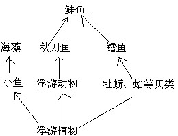2011年4月,日本福岛核电站因地震发生核原料泄漏事故,大量含有核原料的污水被排放入周围海水中,使当地渔业受到重创,并引发了一场严重的环境危机。下图 2011年4月,日本福岛核电站因地震发生核原料泄漏事故,大量含有核原料的污水被排放入周围海水中,使当地渔业受到重创,并引发了一场严重的环境危机。下图