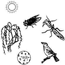 成语“螳螂捕蝉,黄雀在后”体现了生态系统中几种生物之间的关系。下图所示的是与该成语有关的几种因素,请据图分析回答。 (1)请在图上用箭头画出各种 成语“螳螂捕蝉,黄雀在后”体现了生态系统中几种生物之间的关系。下图所示的是与该成语有关的几种因素,请据图分析回答。 (1)请在图上用箭头画出各种