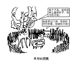 观察漫画,进行概括。________________________________________________________________ 观察漫画,进行概括。________________________________________________________________