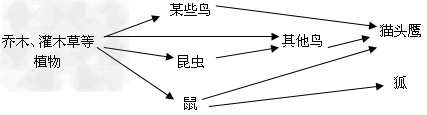 森林里生长着高大的乔木、低矮的灌木、草等植物;有许多鸟在此栖息,有的鸟吃草籽,有的鸟既吃草籽又吃昆虫,昆虫又吃植物的茎和叶;一些鼠类以植物的茎、叶、果实为 森林里生长着高大的乔木、低矮的灌木、草等植物;有许多鸟在此栖息,有的鸟吃草籽,有的鸟既吃草籽又吃昆虫,昆虫又吃植物的茎和叶;一些鼠类以植物的茎、叶、果实为
