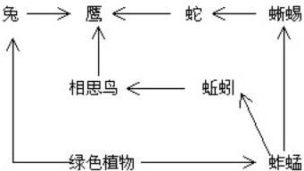 如面为一生态系统中几条食物链的关系图,请据图分析:①此图中的生产者是______,消费者中,草食动物是______,肉食动物是______.②此图中含有____ 魔方格