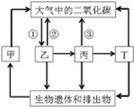 近些年来,工业高速发展,二氧化碳排放增多,温室效应增强,厄尔尼诺现象频繁发生.如图是碳循环示意图,请据图回答图中①表示的生理活动是______,它可以吸收 魔方格