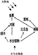如图,为生态系统中部分组成成分示意图、请回答除鹭鹚外,还有哪一种生物对鱼鹰的生存最为不利?____________的生长状况对于生态系统内生态平衡的 魔方格